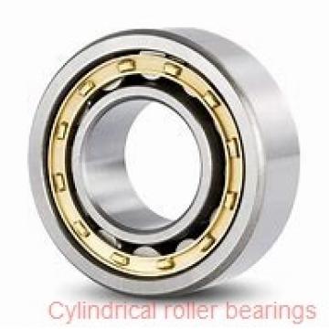 30 x 2.441 Inch | 62 Millimeter x 0.63 Inch | 16 Millimeter  NSK N206M  Cylindrical Roller Bearings