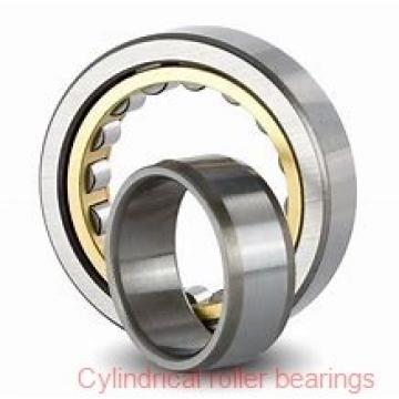 4.724 Inch | 120 Millimeter x 7.087 Inch | 180 Millimeter x 1.811 Inch | 46 Millimeter  INA SL183024-C3  Cylindrical Roller Bearings