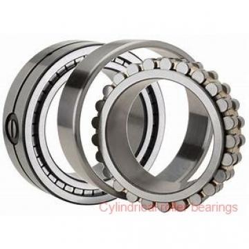 55 x 3.937 Inch | 100 Millimeter x 0.827 Inch | 21 Millimeter  NSK N211W  Cylindrical Roller Bearings