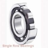 SKF 6020-2Z/C4S1GJN  Single Row Ball Bearings